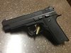 CZ 1.jpg