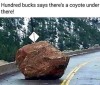 4369A0C8-69EE-4780-A9E2-159CFC0FB626.jpeg