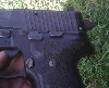 Sig 228 grip area.jpg