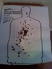 100 rounds at 7yards.