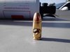 holey_bullet.jpg