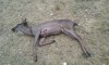 Phillip Deer 12-10-2016.jpeg