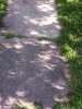 Shadows.jpeg