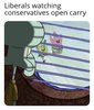 conservative carry.jpg